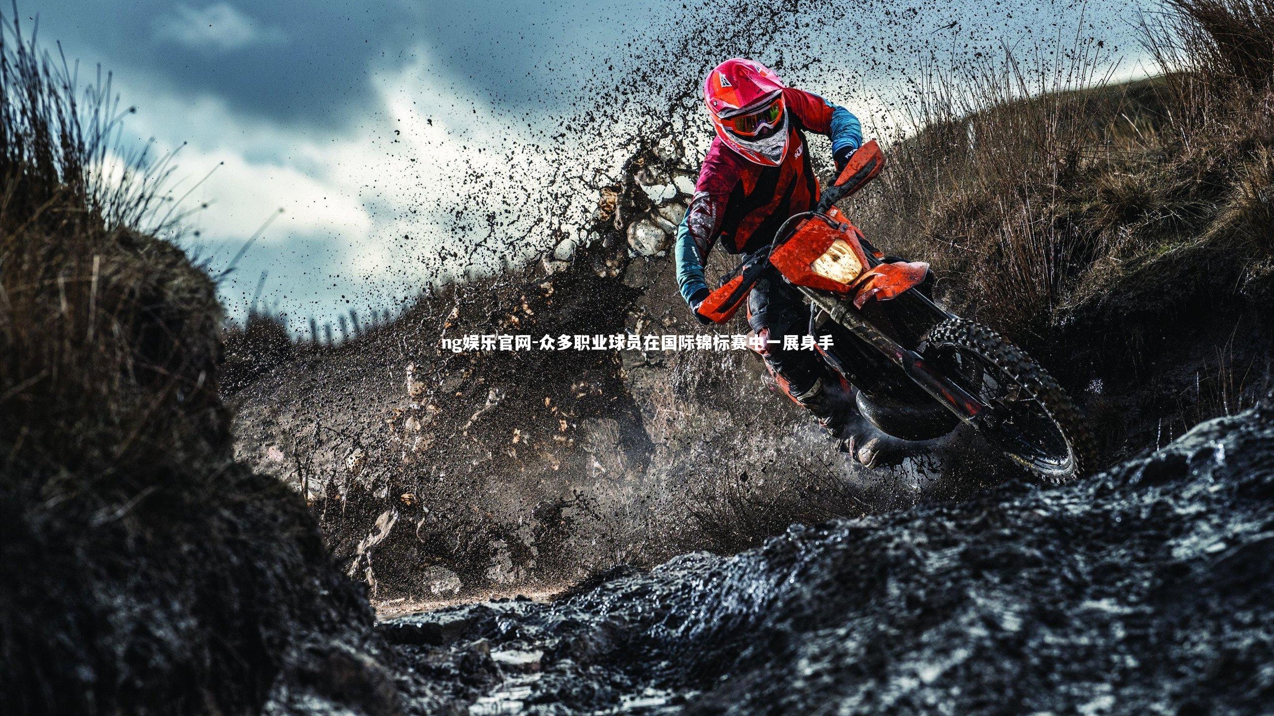 ng娱乐官网-众多职业球员在国际锦标赛中一展身手